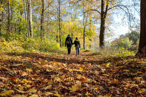 Stockfoto wandelen bos